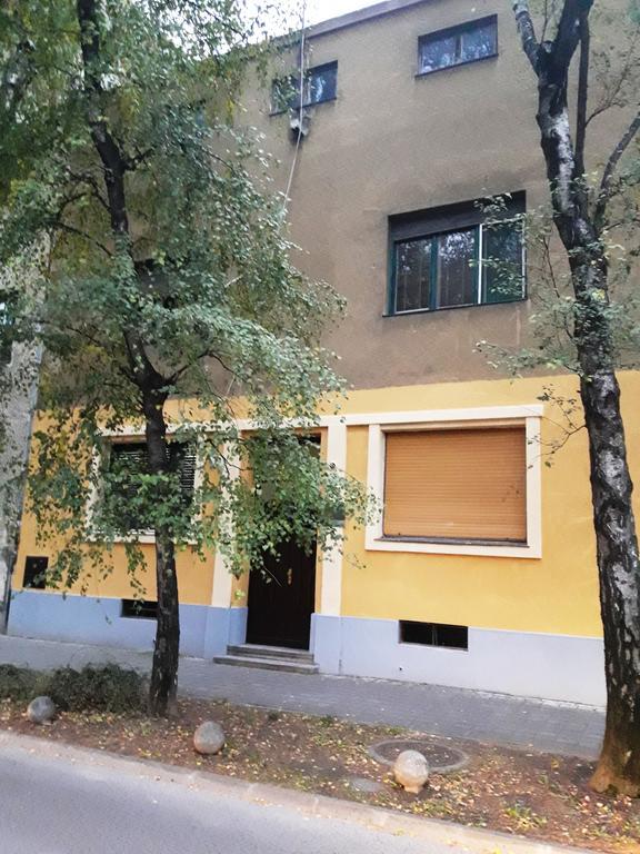 Downtown Dell Arte Daire Novi Sad Dış mekan fotoğraf